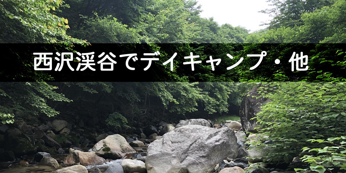 河原でキャンプ 西沢渓谷その他 キャンプ フリード 車中泊