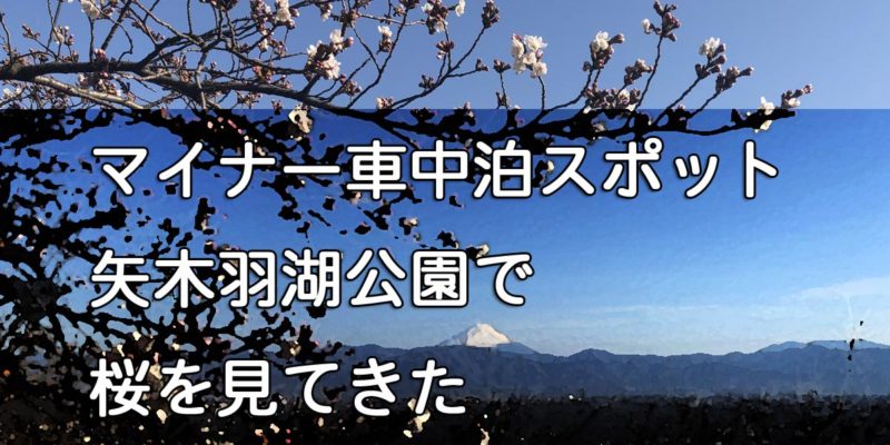 マイナー車中泊スポット「矢木羽湖公園」で桜を見る
