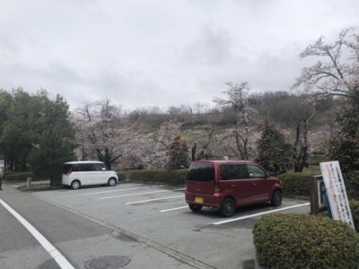 トイレ横の駐車場