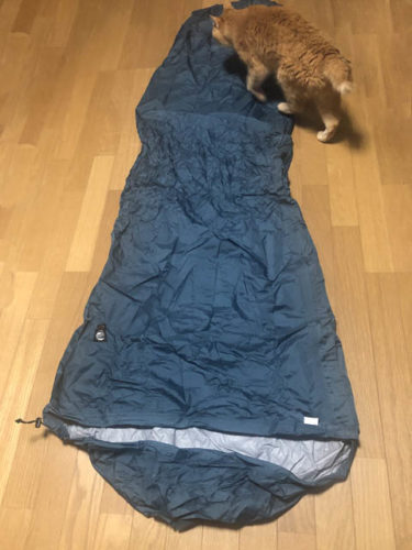 猫が乗る寝具は良い物であると古来言われている