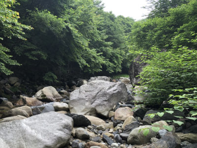 夏の西沢渓谷