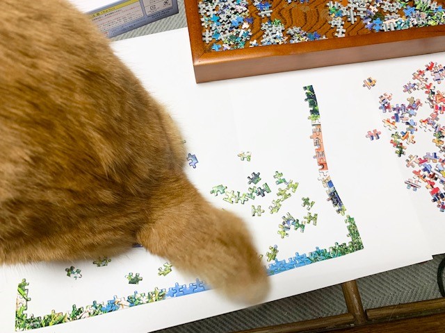 猫がパズルを邪魔しに来ました。