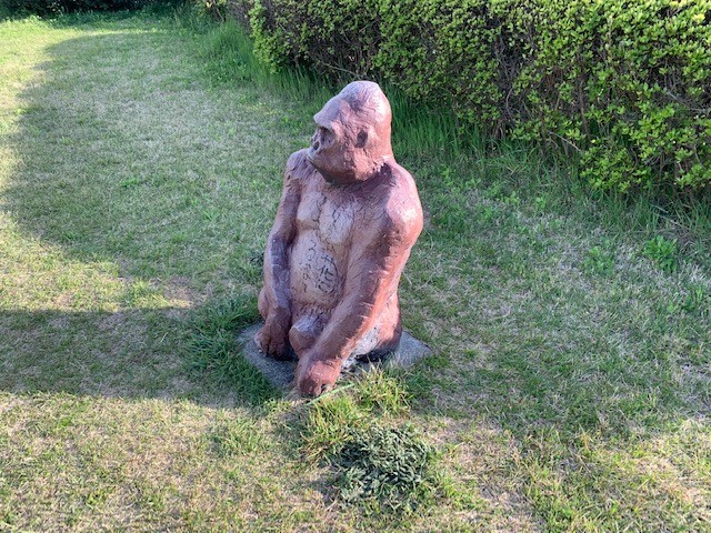 唐突に現れたゴリラの銅像