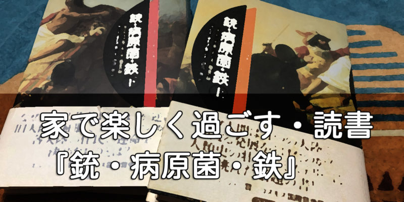 家で楽しく過ごす・読書『銃・病原菌・鉄』