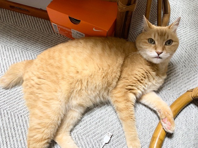 ん?