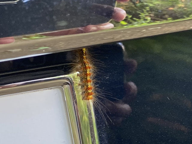 リアドア開けようとしたら
